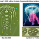 Image for article titled Did This Jellyfish Crop Circle Accurately Predict A Solar Storm?